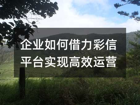 ҵνƽ̨ʵָЧӪ