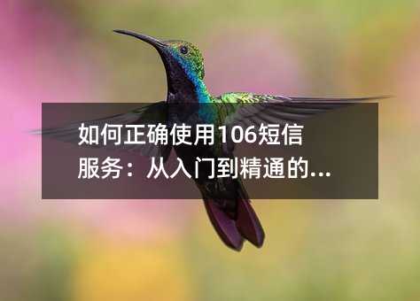 ȷʹ106ŷ񣺴ŵͨȫָ