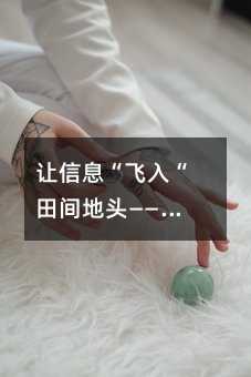 让信息“飞入“田间地头——探秘惠及百万农户的智慧农业服务平台