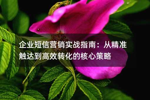 ҵӪʵսָϣӾ׼ﵽЧתĺĲ