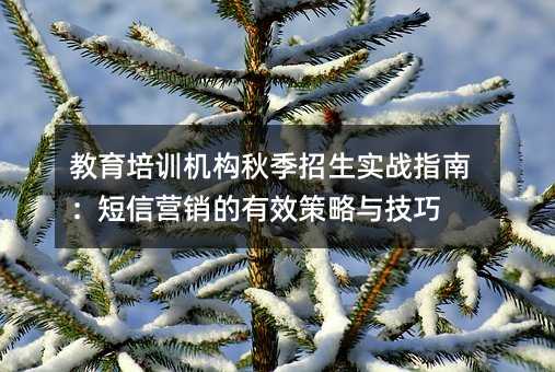 ѵ＾ʵսָϣӪЧ뼼