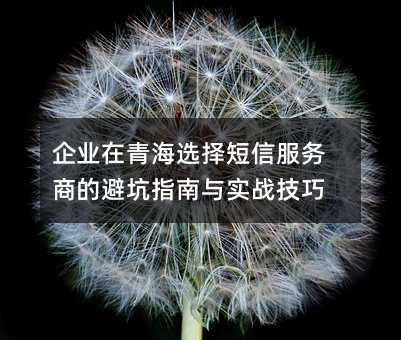 ҵຣѡŷ̵ıָܿʵս