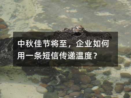 ѽڽҵһŴ¶ȣ