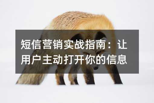 ӪʵսָϣûϢ