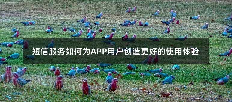 ŷΪAPPûõʹ