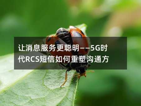 Ϣ5GʱRCSܹͨʽ