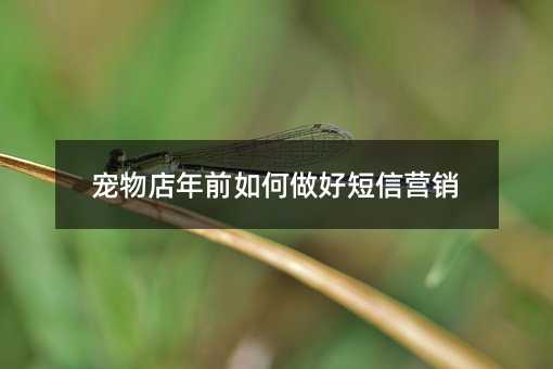 ǰöӪ