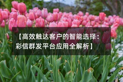 Чͻѡ񣺲Ⱥƽ̨Ӧȫ