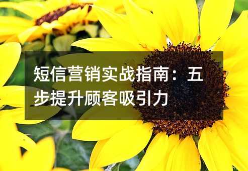 Ӫʵսָϣ岽˿