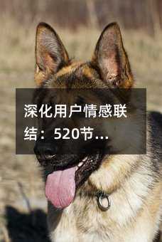 û᣺520յĶӪŻָ