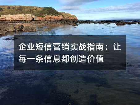 ҵӪʵսָϣÿһϢֵ