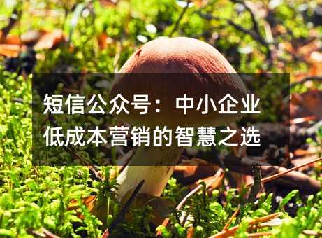 短信公众号:中小企业低成本营销的智慧之选
