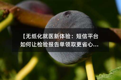 ֽҽ飺ƽ̨ü鱨浥ȡʡģ