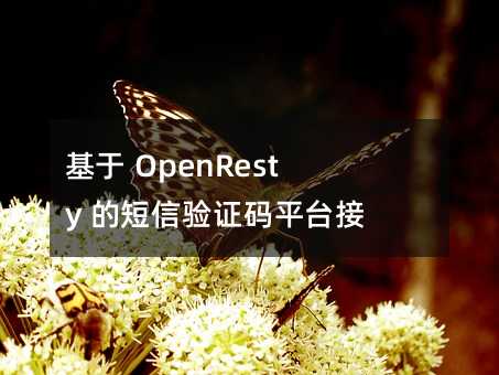  OpenResty Ķ֤ƽ̨ӿ