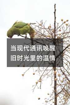 ִͨѶѾʱ