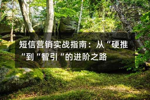 ӪʵսָϣӡӲơĽ֮·