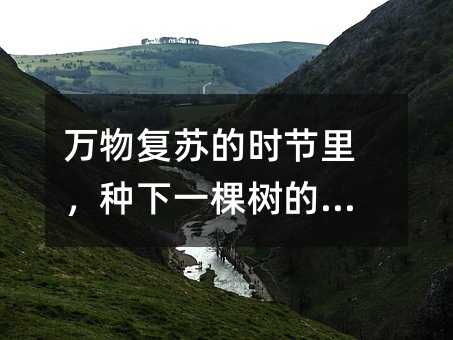 ︴յʱһ