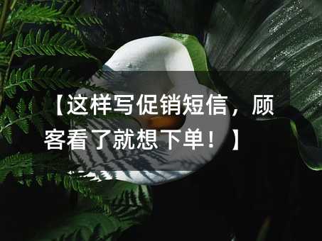 дţ˿Ϳ˾µ
