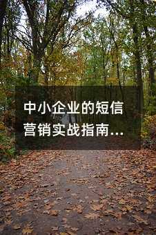 СҵĶӪʵսָϣĲתʷ