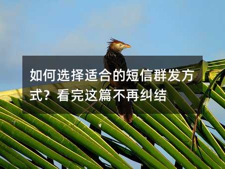 ѡʺϵĶȺʽƪپ