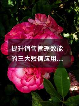 ۹ЧܵӦò