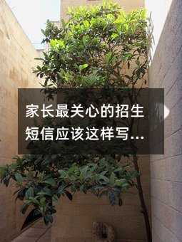 ҳĵӦдת