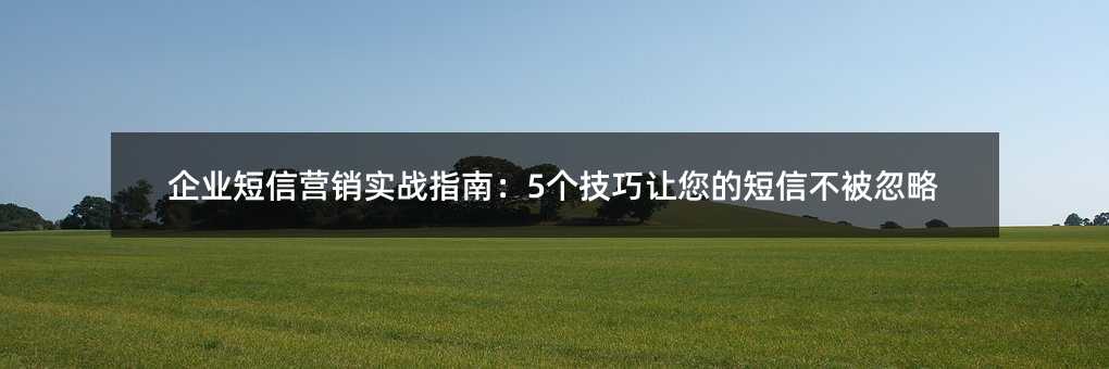 ҵӪʵսָϣ5ĶŲ