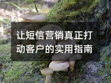 öӪ򶯿ͻʵָ