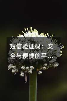 ֤룺ȫݵƽ֮