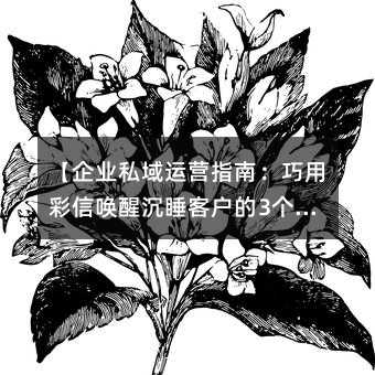 ҵ˽ӪָϣòŻѳ˯ͻ3ƽ