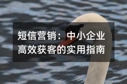 ӪСҵЧ͵ʵָ