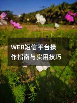 WEBƽָ̨ʵü