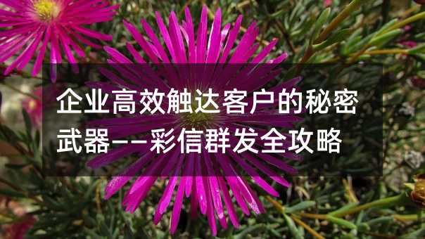 ҵЧͻȺȫ