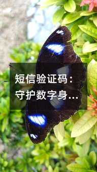 ֤룺ػݵĵһ