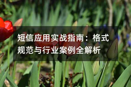 Ӧʵսָϣʽ淶ҵȫ