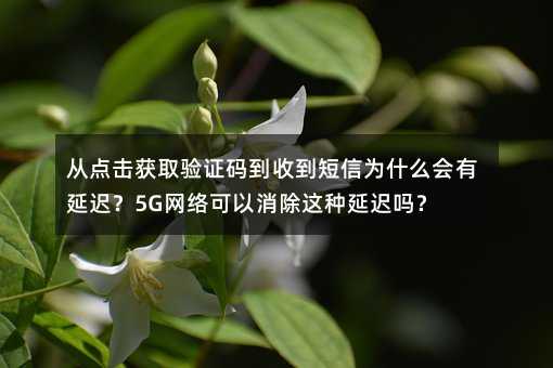 ӵȡ֤뵽յΪʲôӳ٣5Gӳ