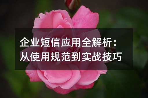ҵӦȫʹù淶ʵս