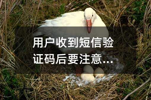 ûյ֤Ҫעʲô