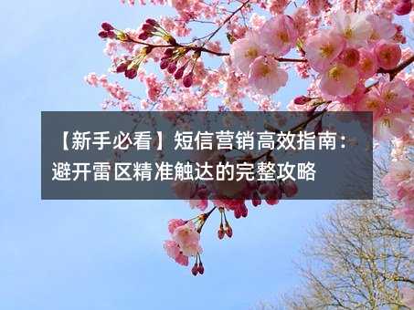【新手必看】短信营销高效指南:避开雷区精准触达的完整攻略