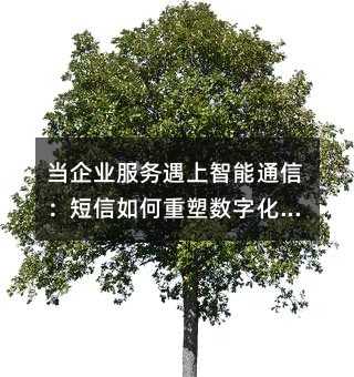 ҵͨţֻת·