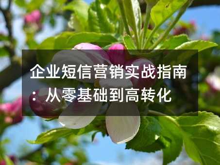ҵӪʵսָϣת