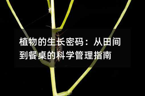 ֲ룺䵽Ŀѧָ