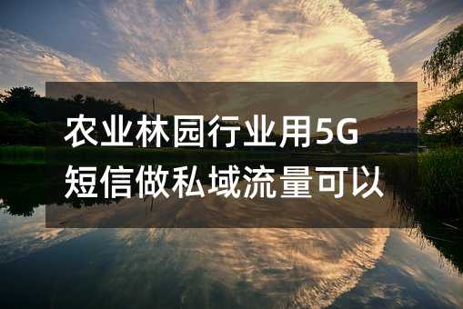 ũҵ԰ҵ5G˽
