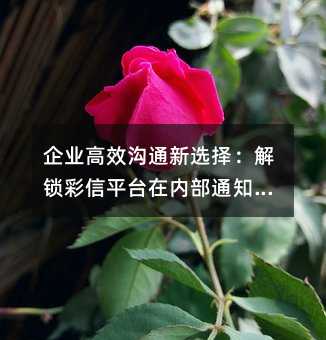 企业高效沟通新选择:解锁彩信平台在内部通知中的妙用