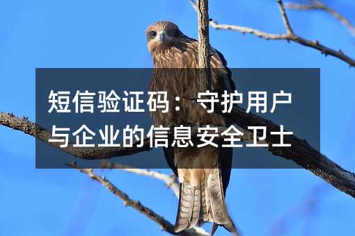 短信验证码:守护用户与企业的信息安全卫士
