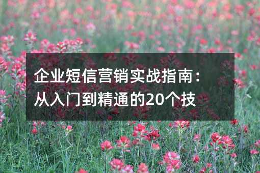 ҵӪʵսָϣŵͨ20