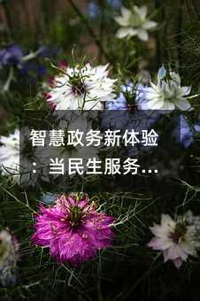 ǻ飺ƶ
