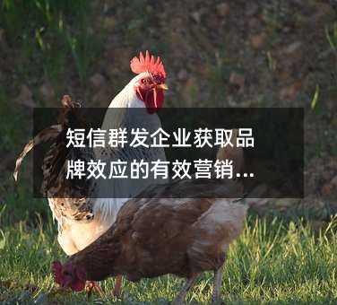 ȺҵȡƷЧӦЧӪֶ