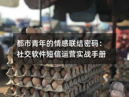룺罻Ӫʵսֲ