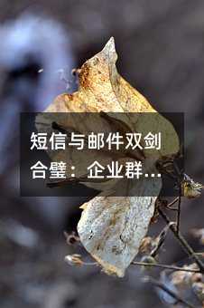 ʼ˫赣ҵȺȫָ